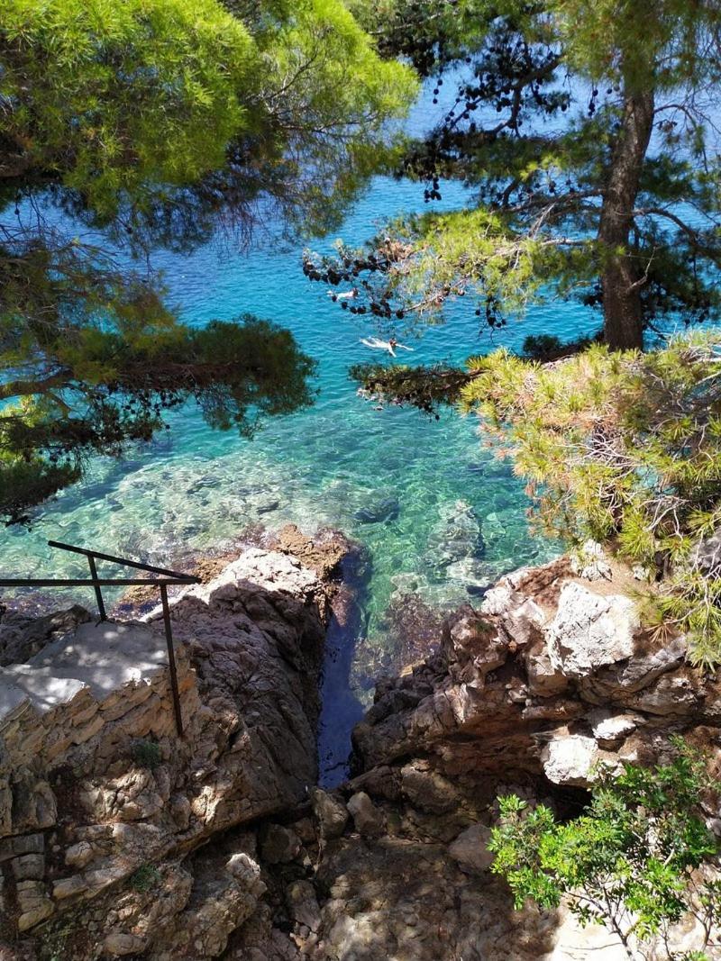 Apartments Villa Alba Dubrovnik Dış mekan fotoğraf
