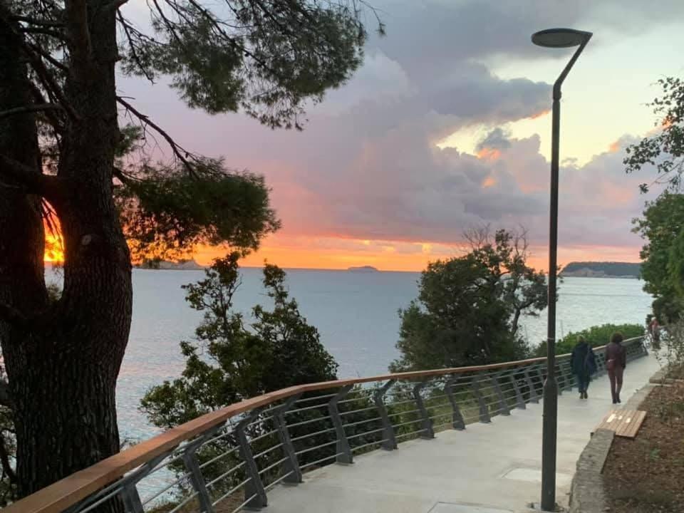 Apartments Villa Alba Dubrovnik Dış mekan fotoğraf