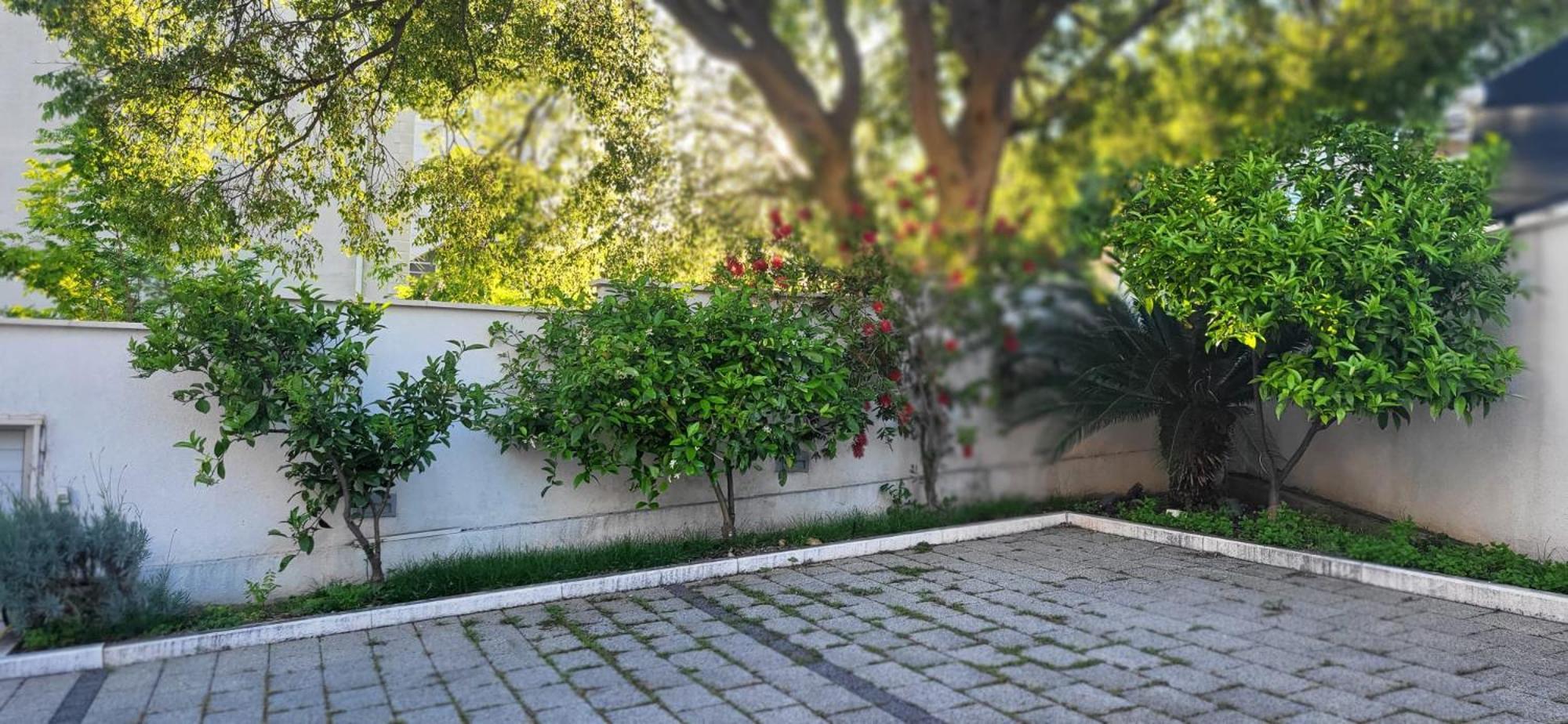 Apartments Villa Alba Dubrovnik Dış mekan fotoğraf