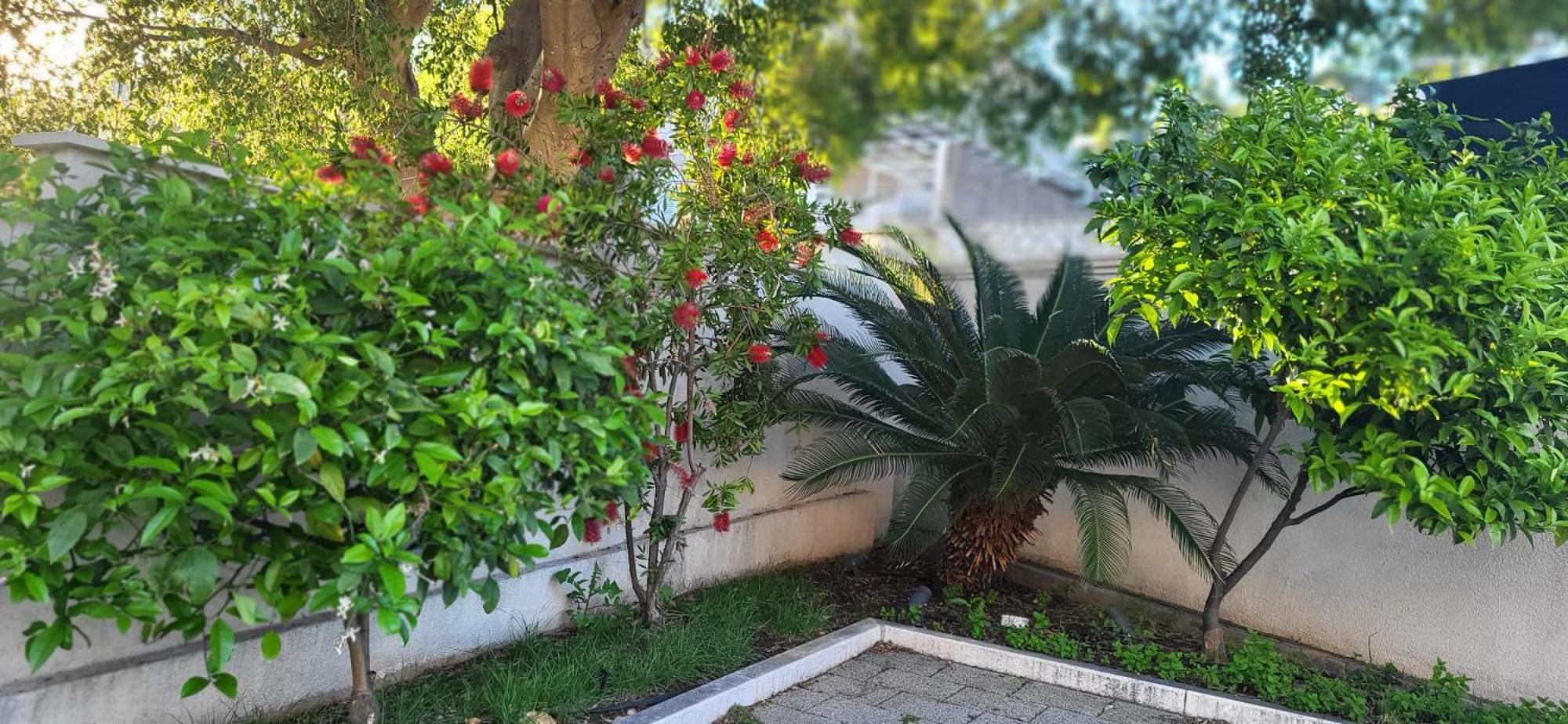 Apartments Villa Alba Dubrovnik Dış mekan fotoğraf