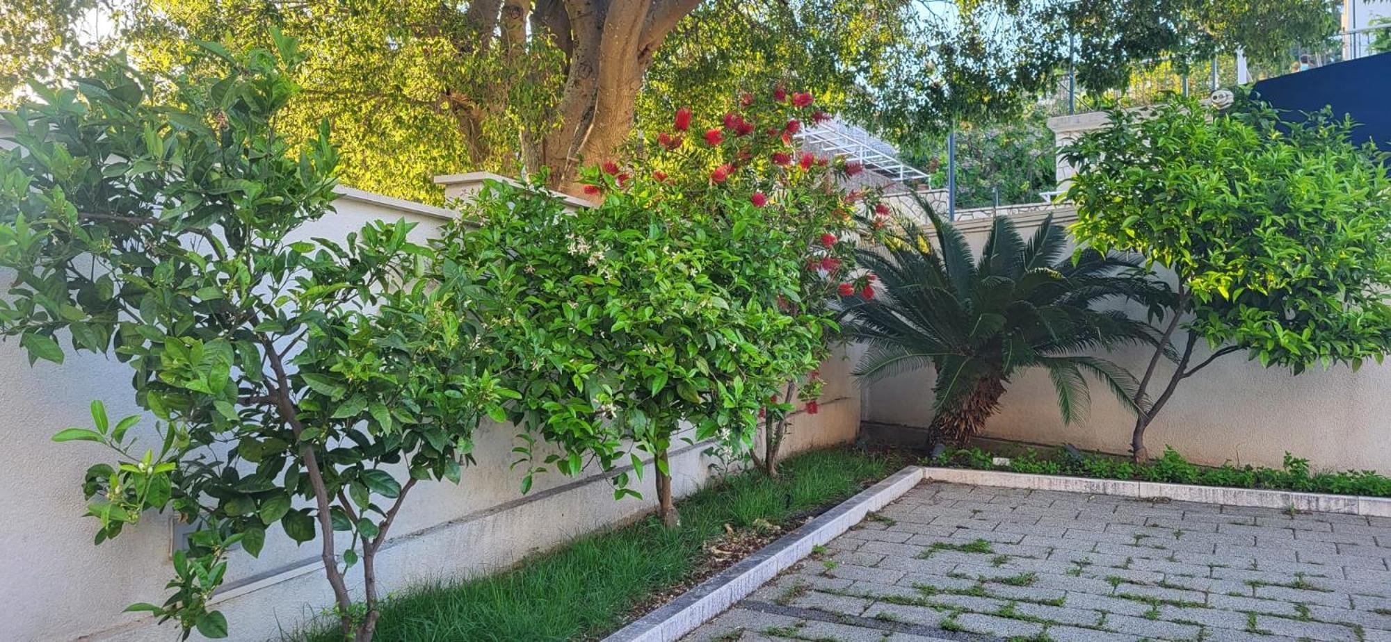 Apartments Villa Alba Dubrovnik Dış mekan fotoğraf